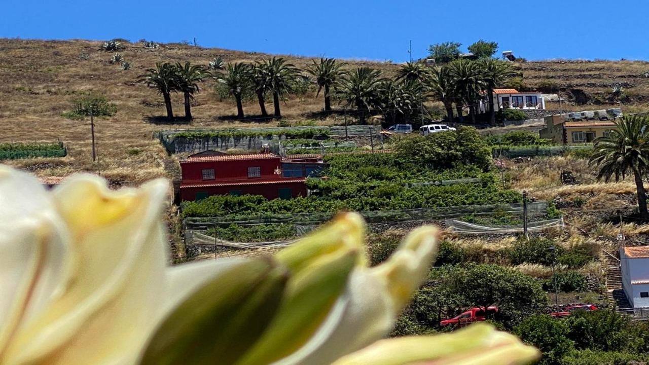 Casa Los Altos バジェエルモソ エクステリア 写真